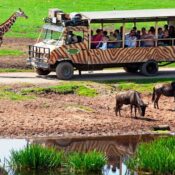 7 days 6 Nights kenya and tanzania private safaris